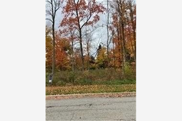 17 Gray Ave, New Tecumseth