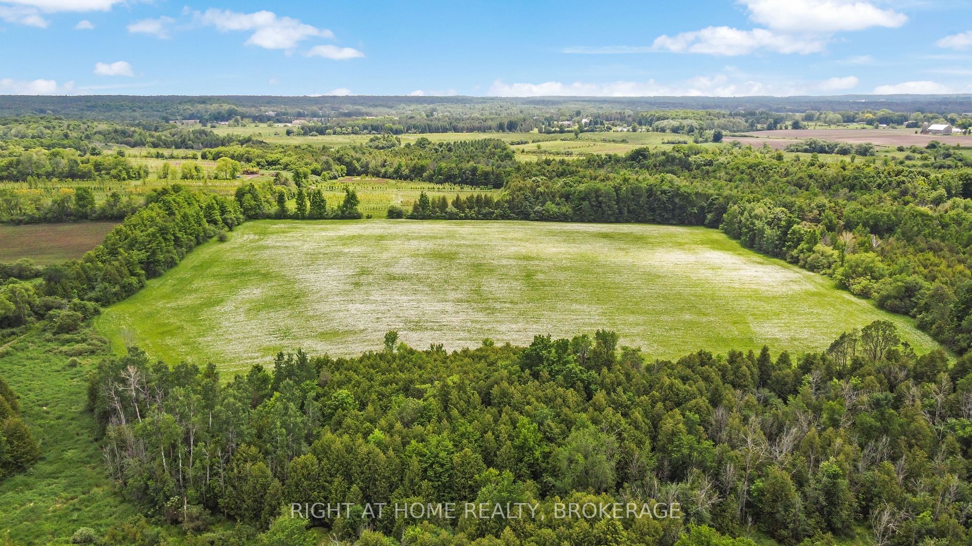 Listing N5916339 - Large Photo # 14