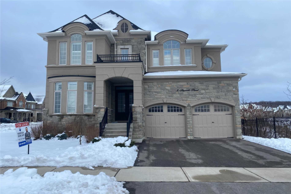 8 Starrett St, King