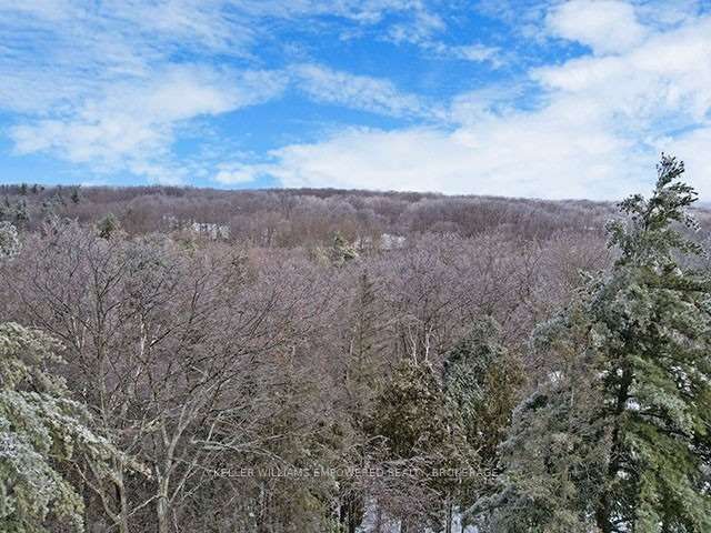 Listing N5926099 - Large Photo # 31
