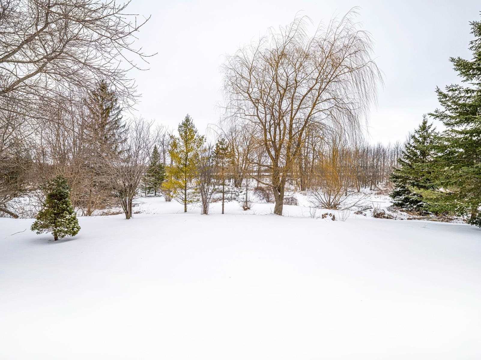 Listing N5940651 - Large Photo # 34