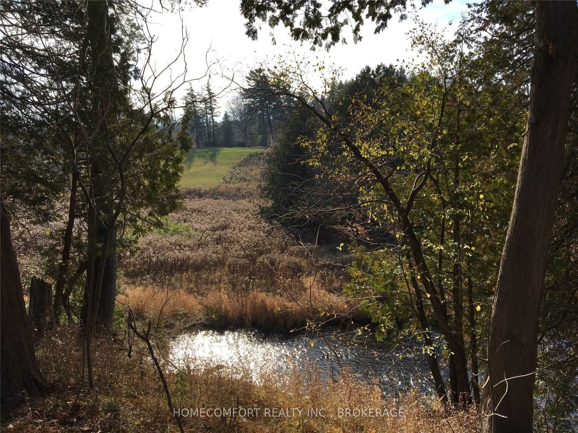 Listing N5945671 - Large Photo # 5