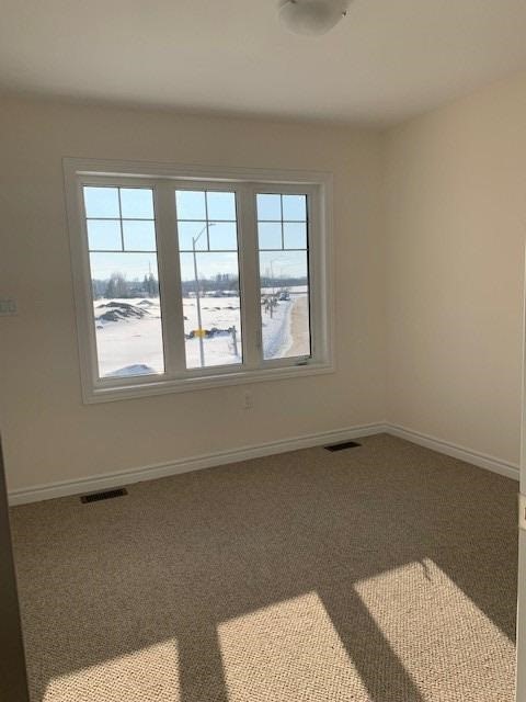 2175 Grainger Loop
