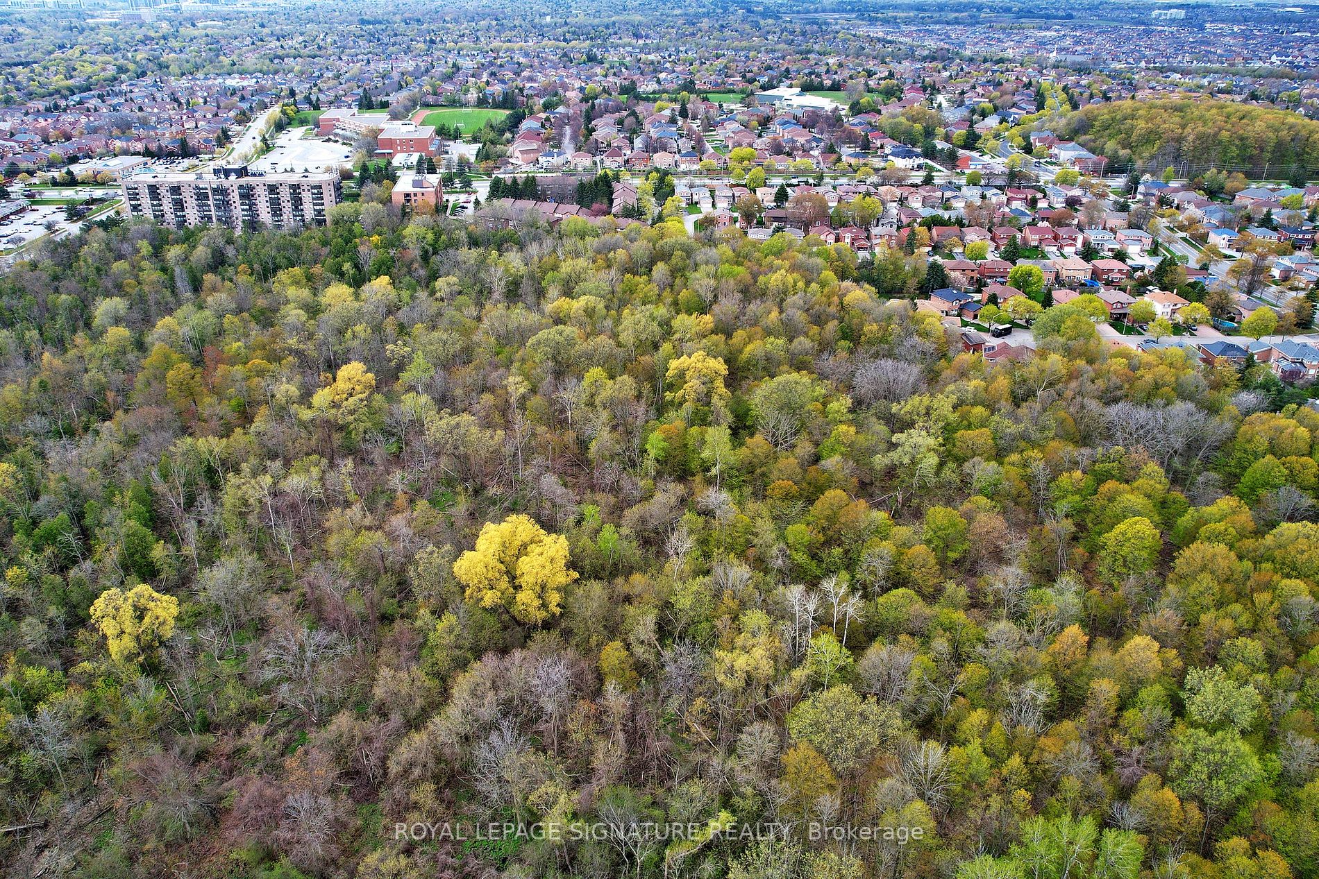 2 Raymerville Dr, #213