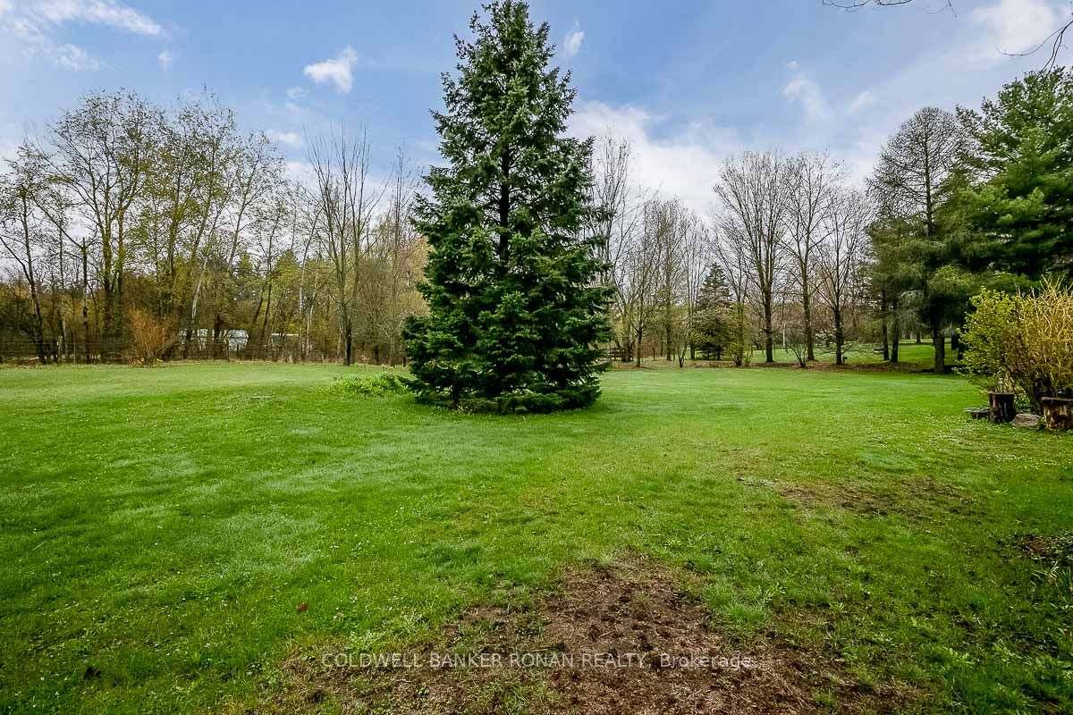 Listing N5957256 - Large Photo # 27