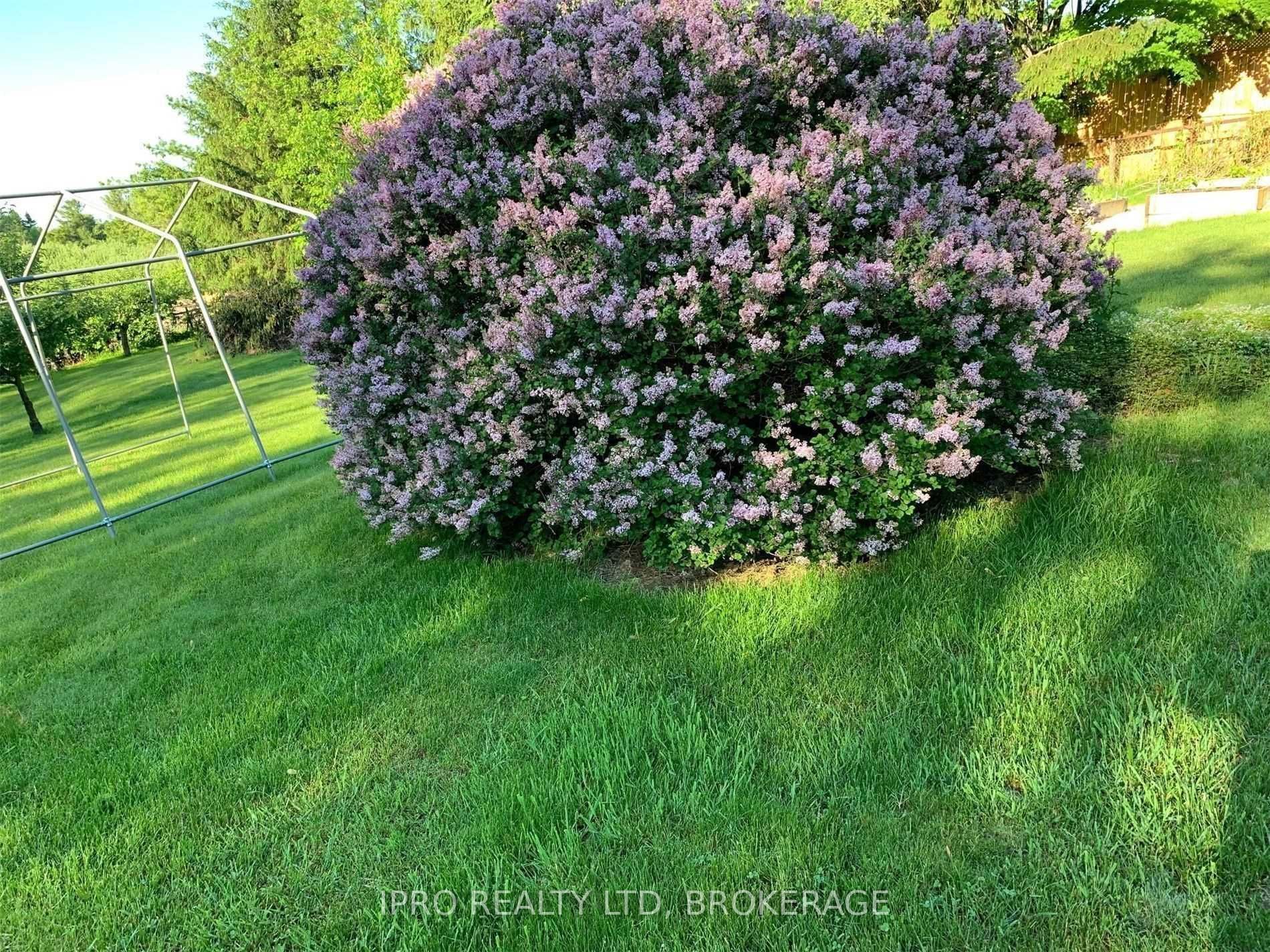 Listing N5969649 - Large Photo # 29