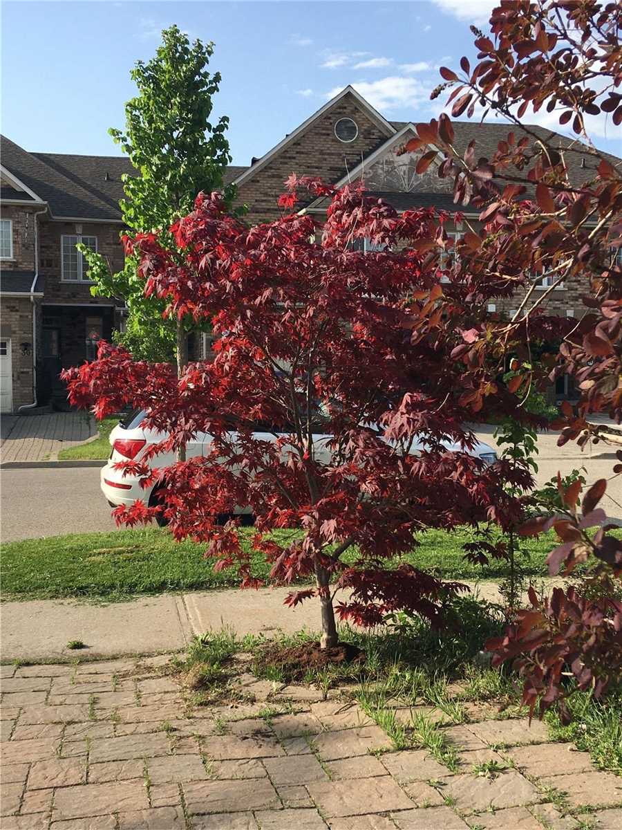Listing N5969719 - Large Photo # 40