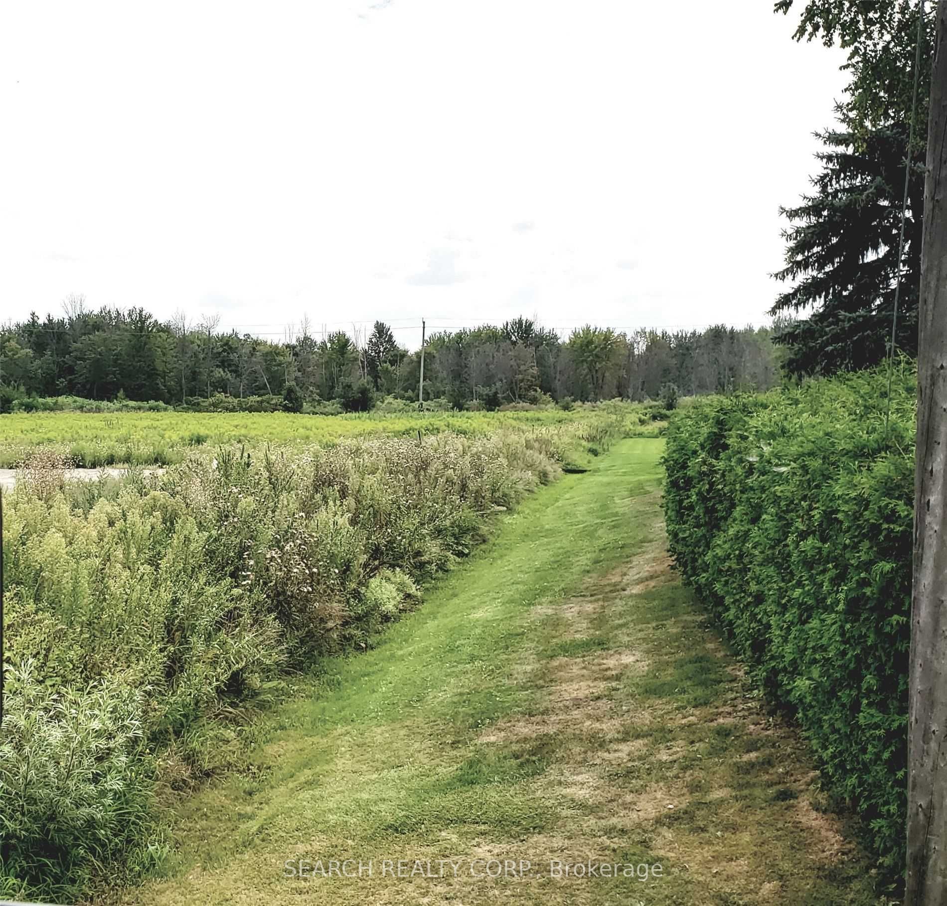 375 Woodchoppers Lane