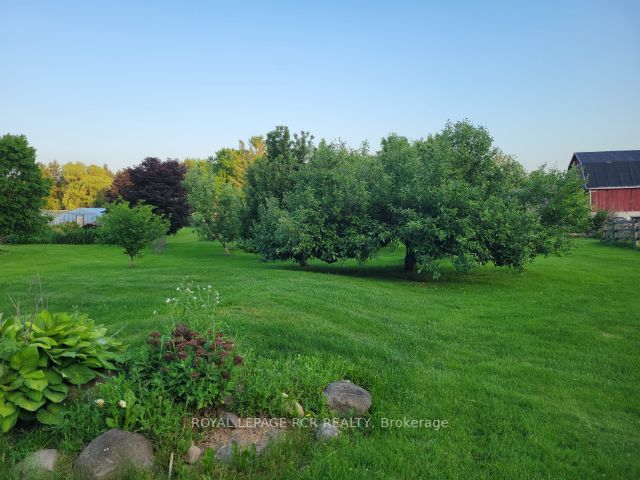 Listing N5984420 - Large Photo # 29