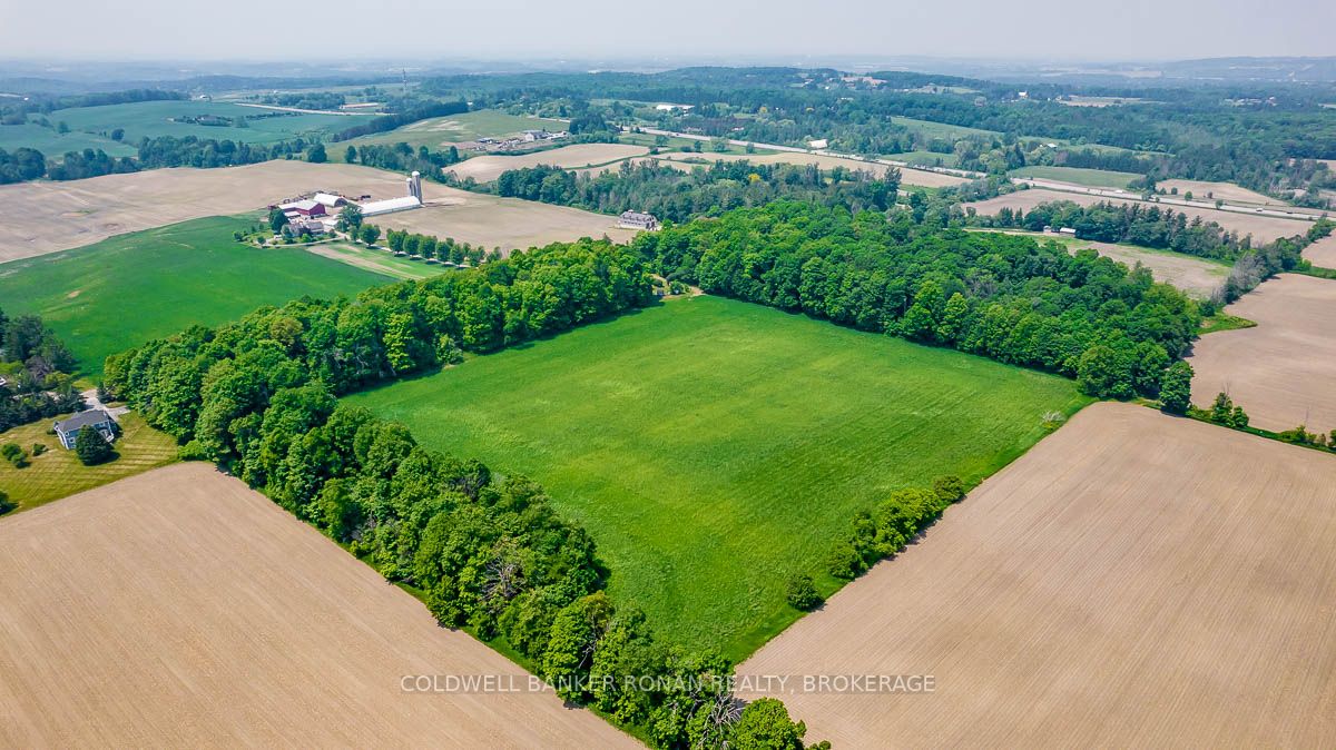 Listing N5987079 - Large Photo # 6