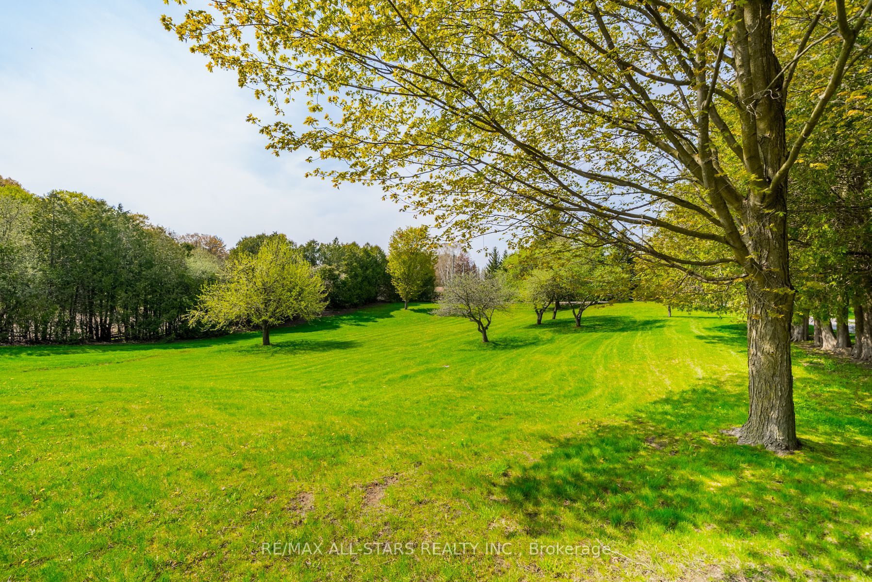 Listing N5987316 - Large Photo # 29