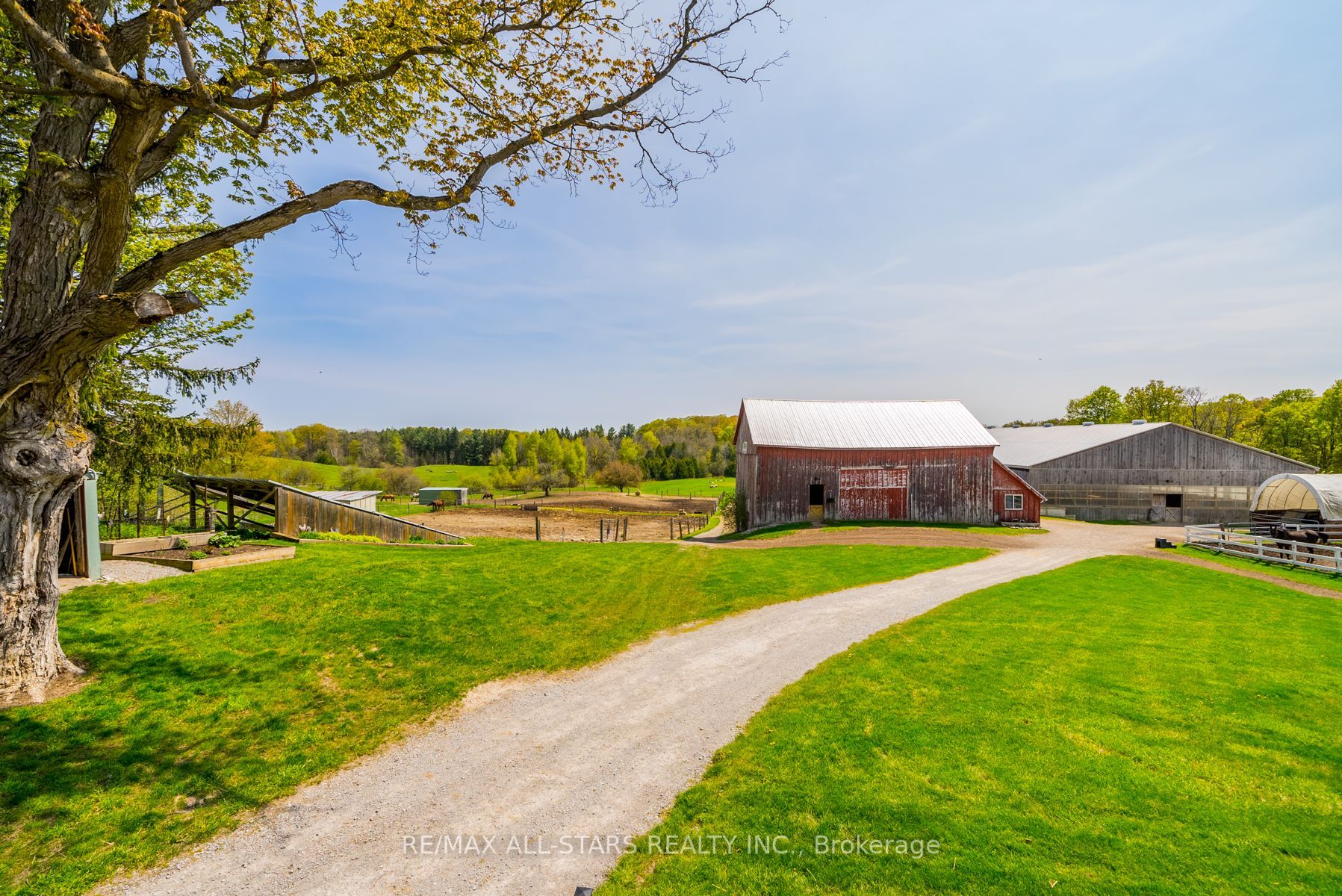 Listing N5987316 - Large Photo # 20