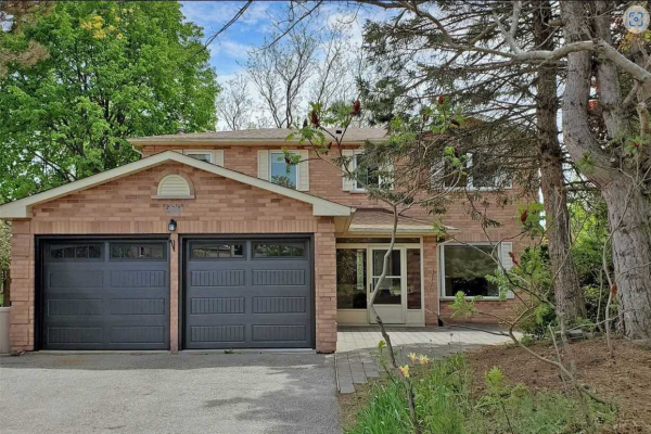 984 Krista Crt, Newmarket