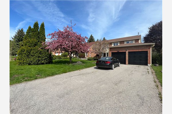 296 John Bowser Cres, Newmarket