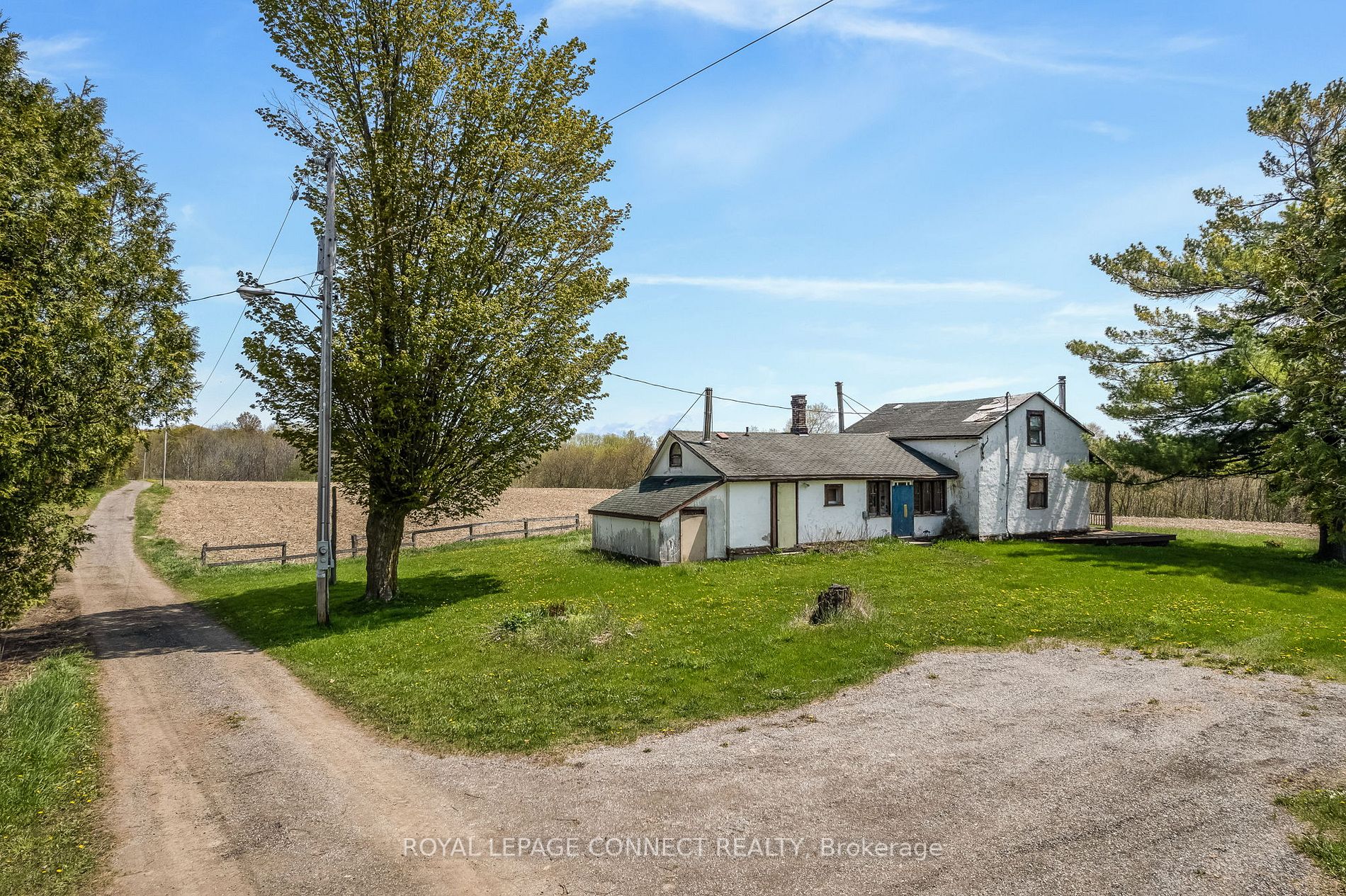 Listing N5996036 - Large Photo # 13