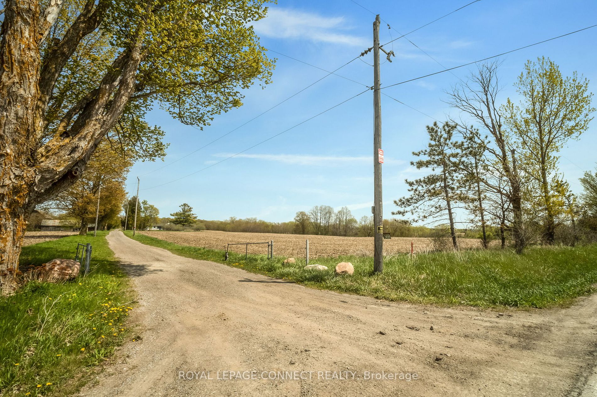 Listing N5996036 - Large Photo # 10