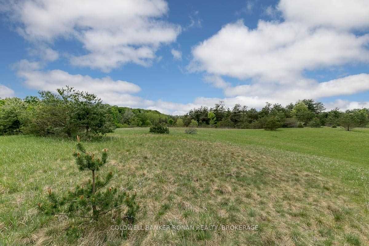 Listing N5999101 - Large Photo # 4