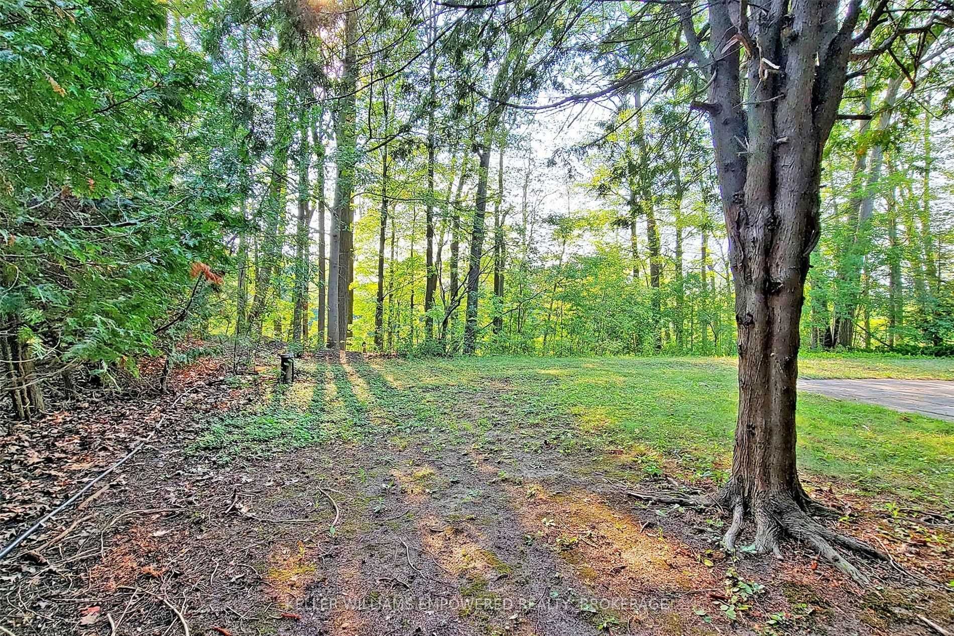 Listing N5999367 - Large Photo # 39