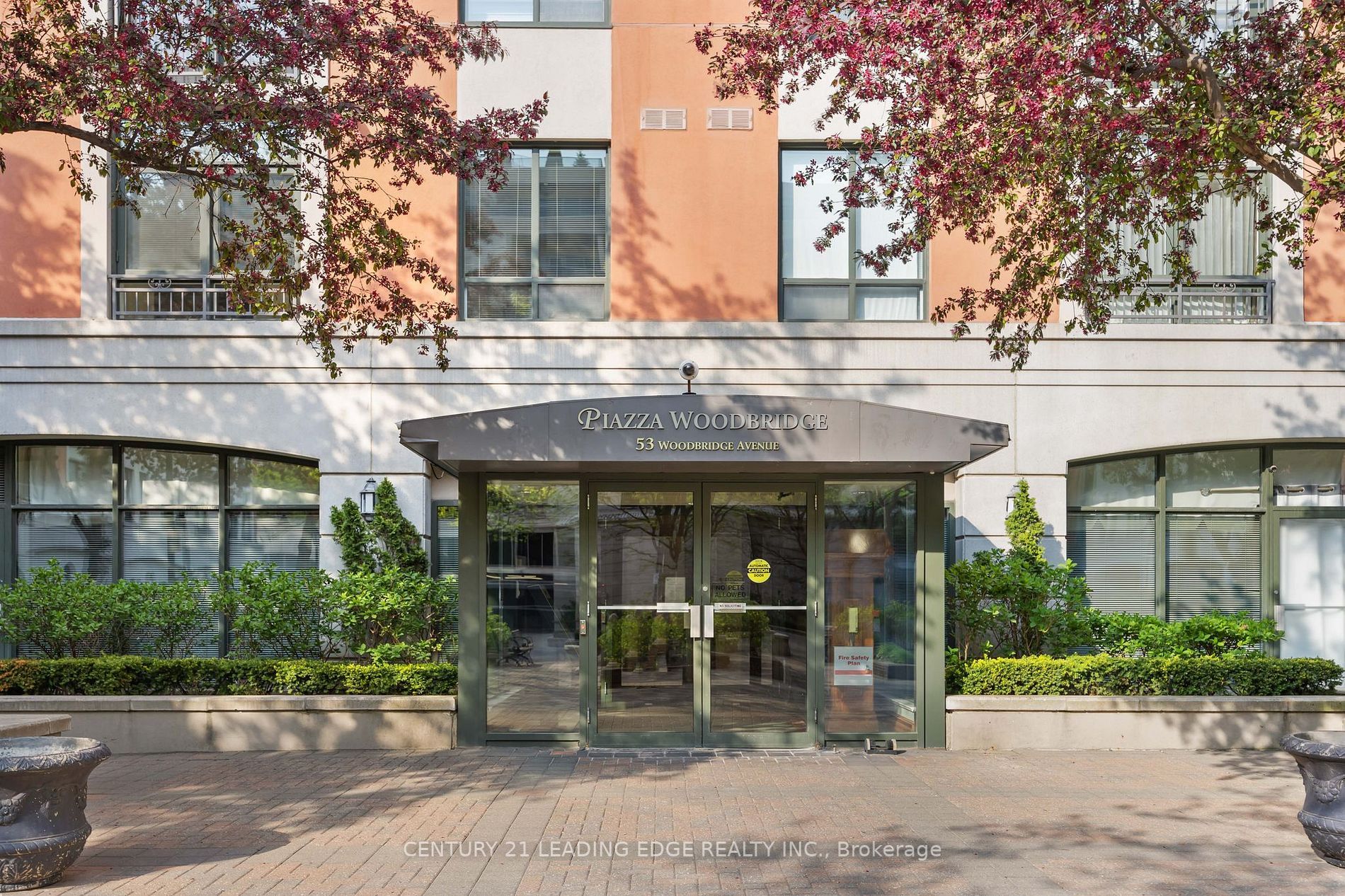 53 Woodbridge Ave, #201