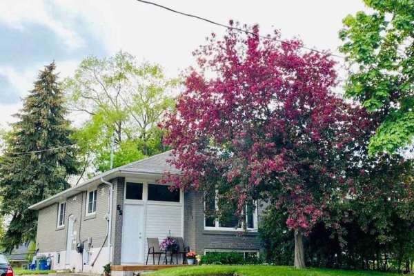 74 Newbury Dr, Newmarket