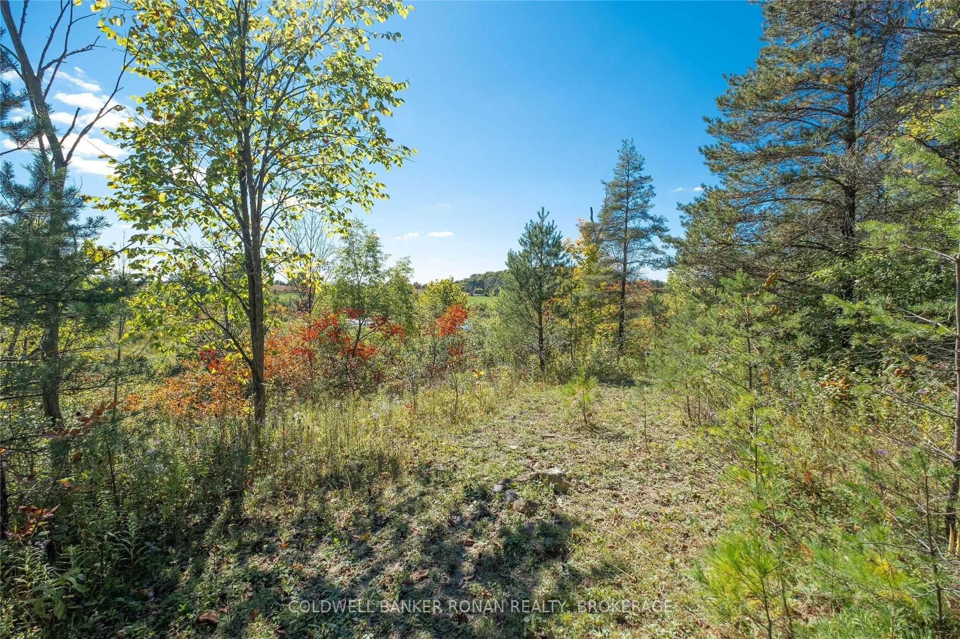 Listing N6004625 - Large Photo # 21