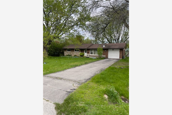 66 Tulip St, Georgina