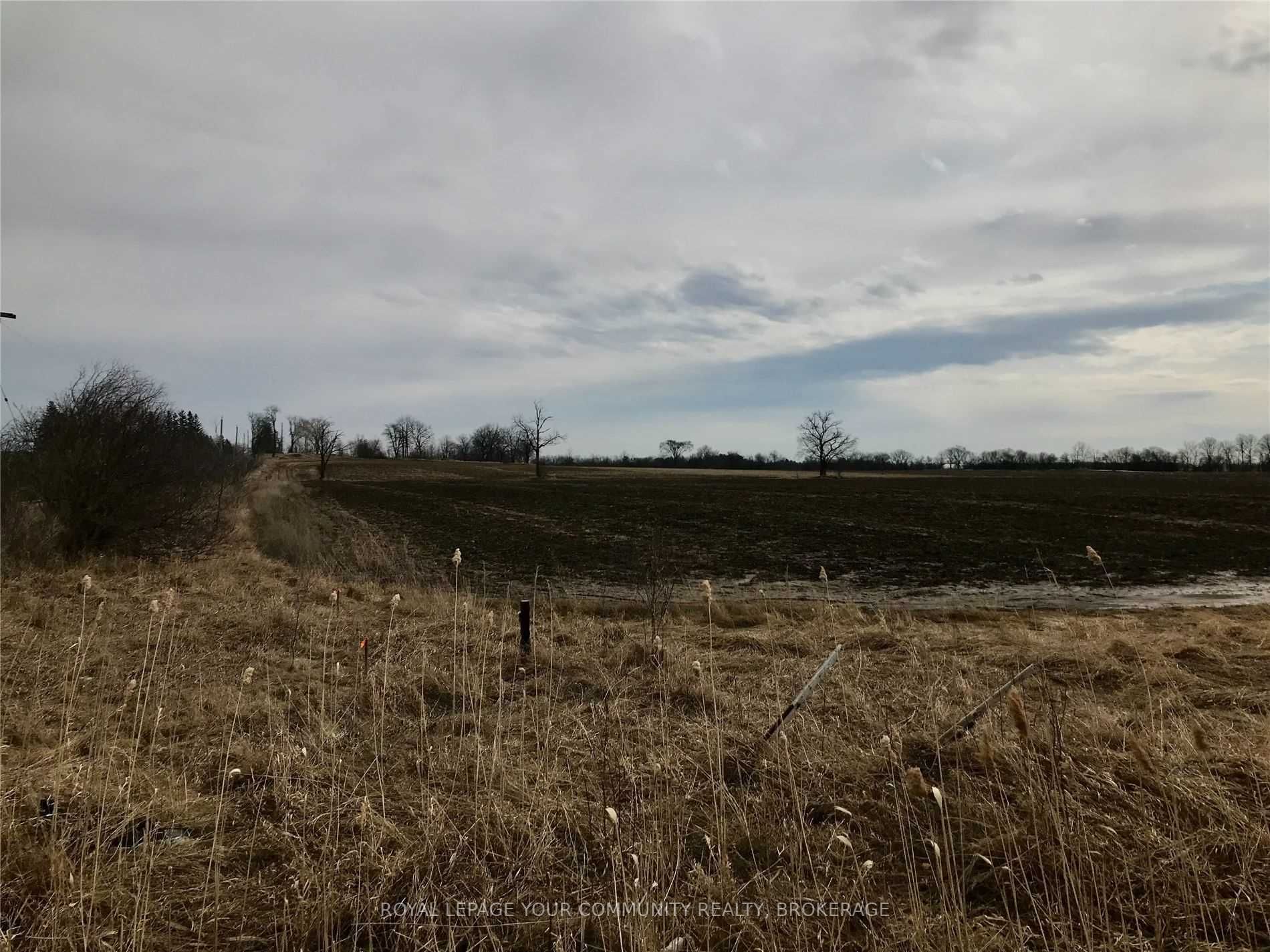Listing N6007225 - Large Photo # 12