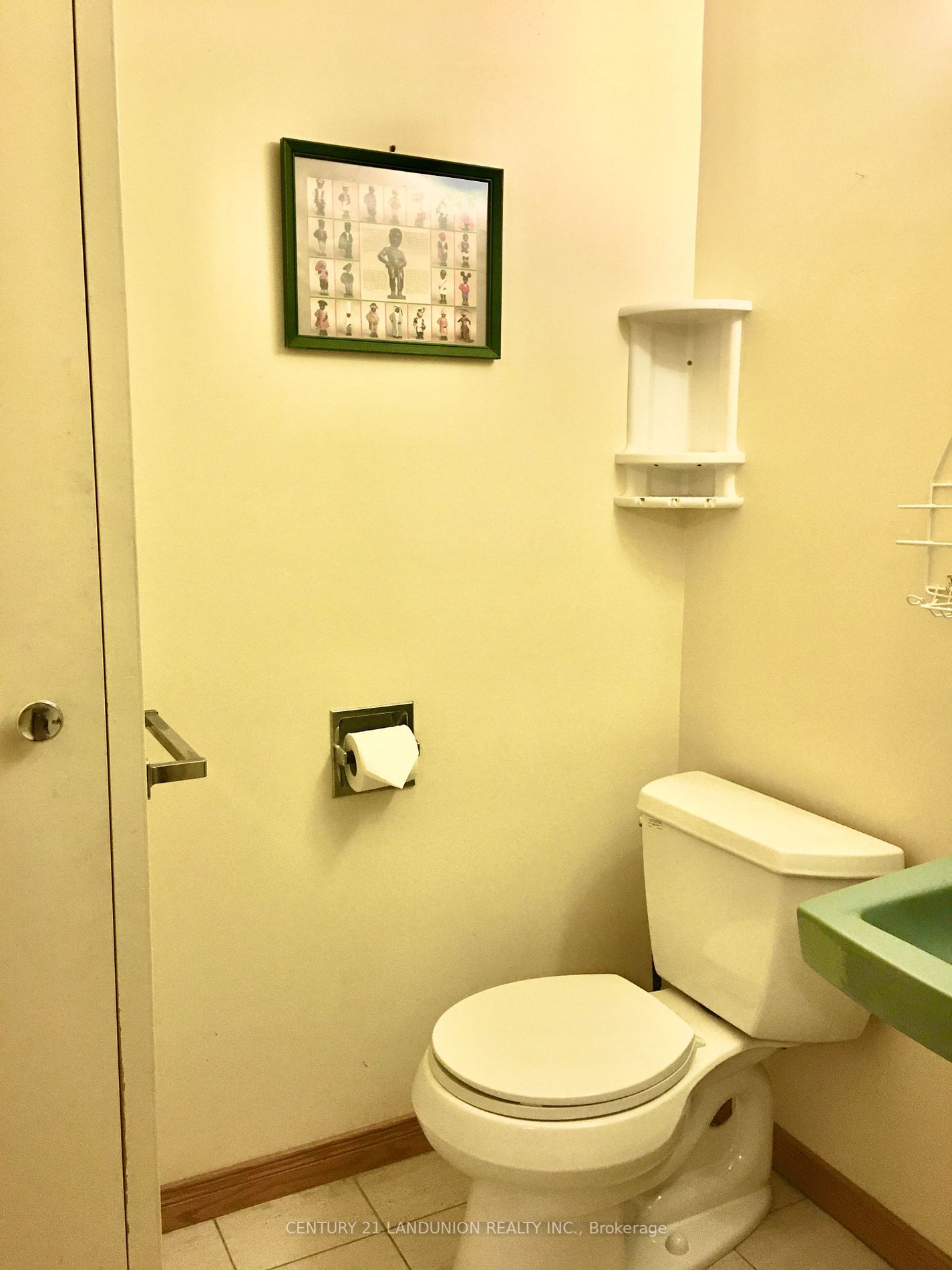 29 Snowshoe Cres