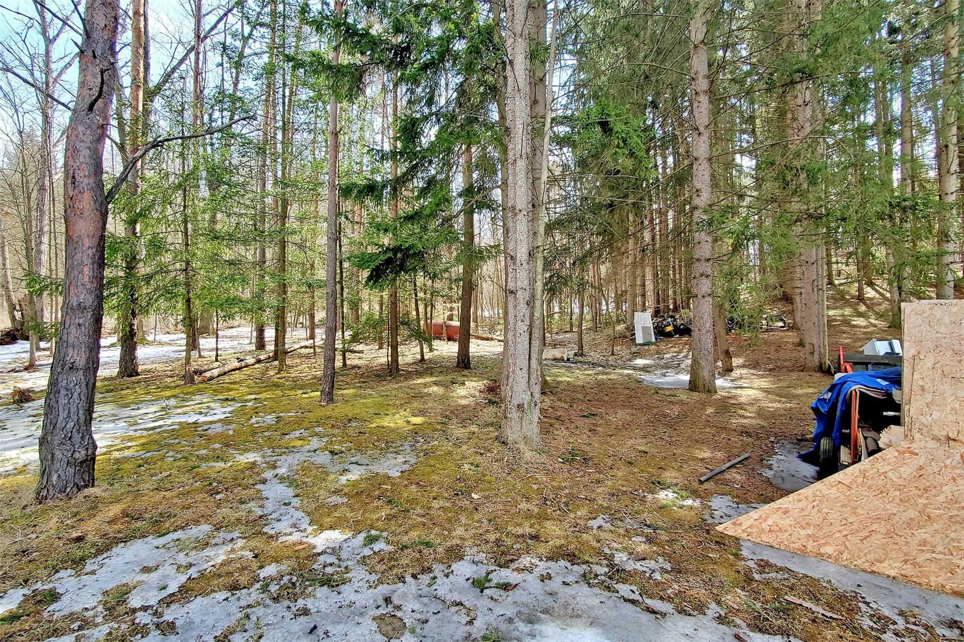 Listing N6008455 - Large Photo # 27