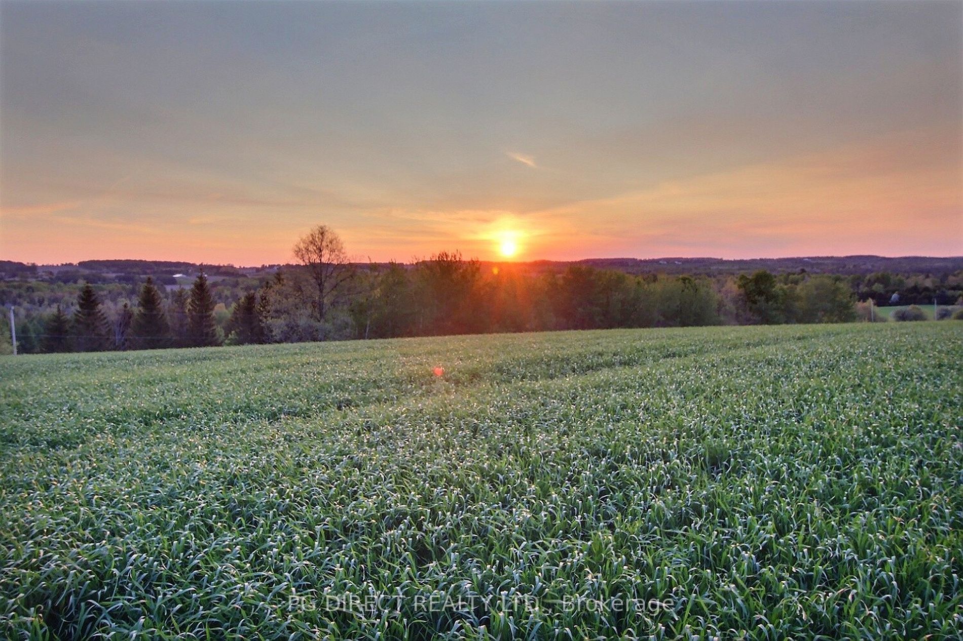 Listing N6024948 - Large Photo # 15