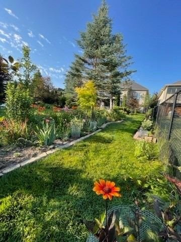 703 Madeline Heights