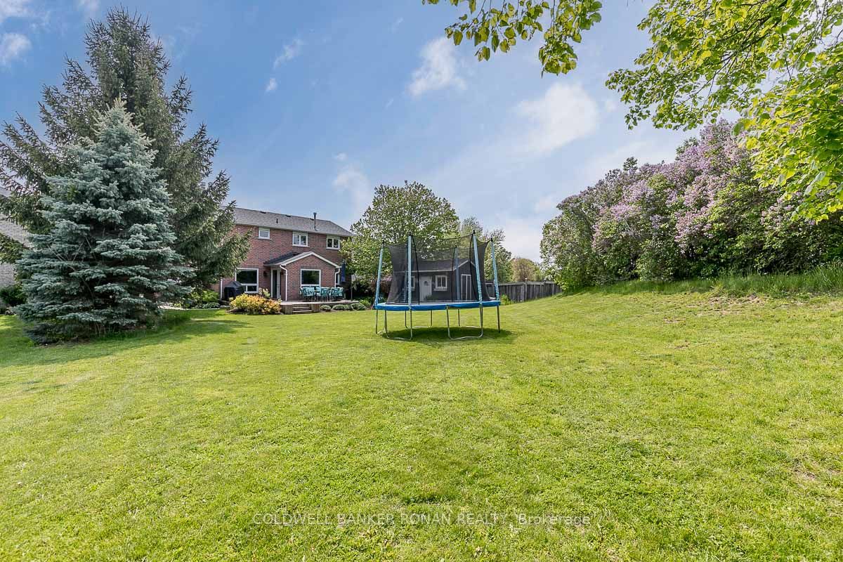 Listing N6039664 - Large Photo # 37