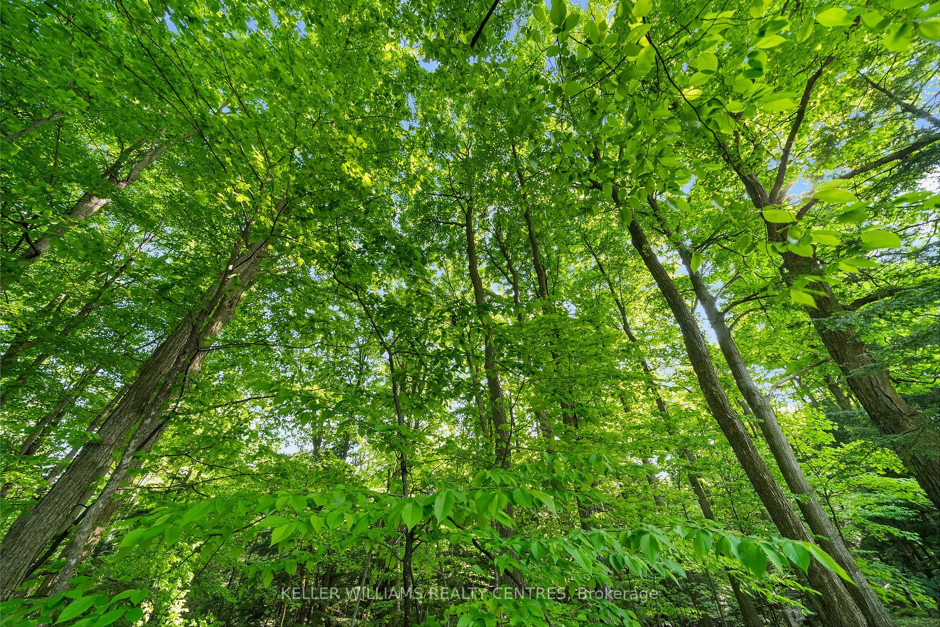 Listing N6041048 - Large Photo # 4
