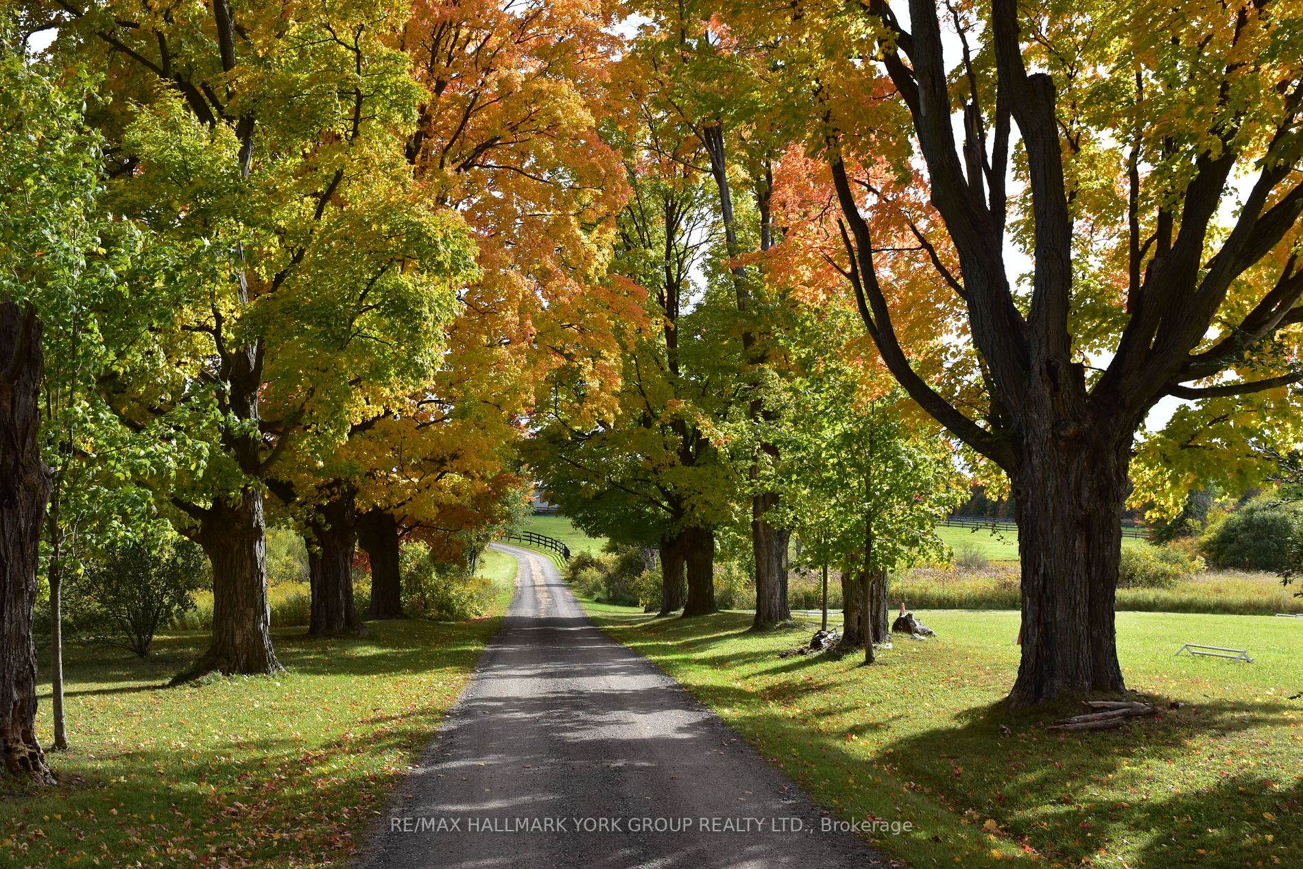 Listing N6041460 - Large Photo # 2