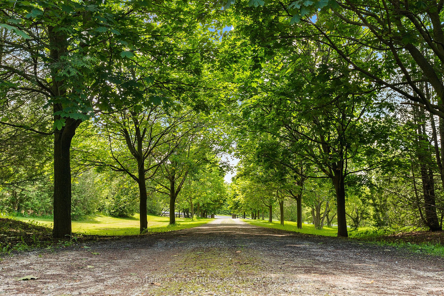 Listing N6041616 - Large Photo # 2