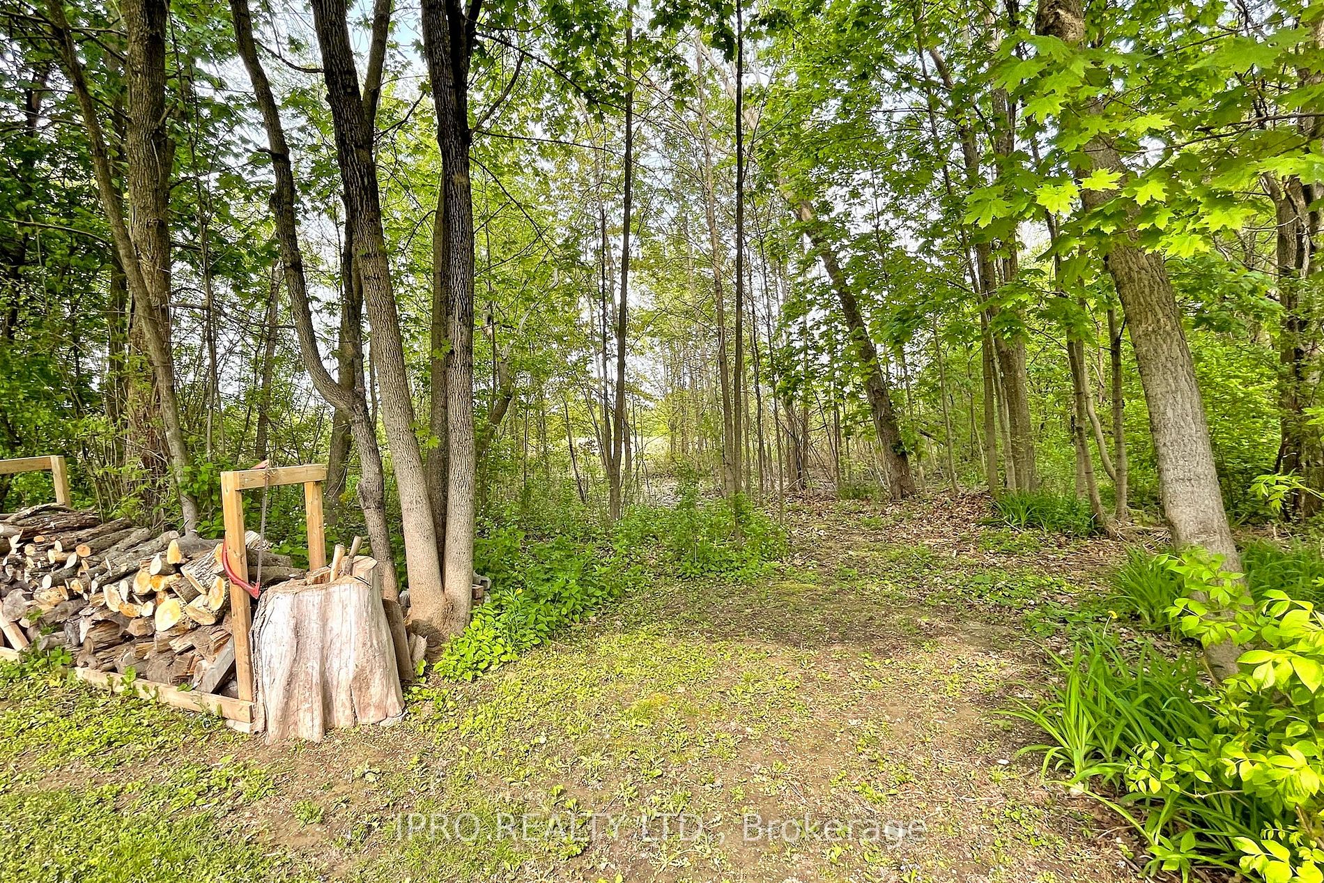 Listing N6044248 - Large Photo # 32