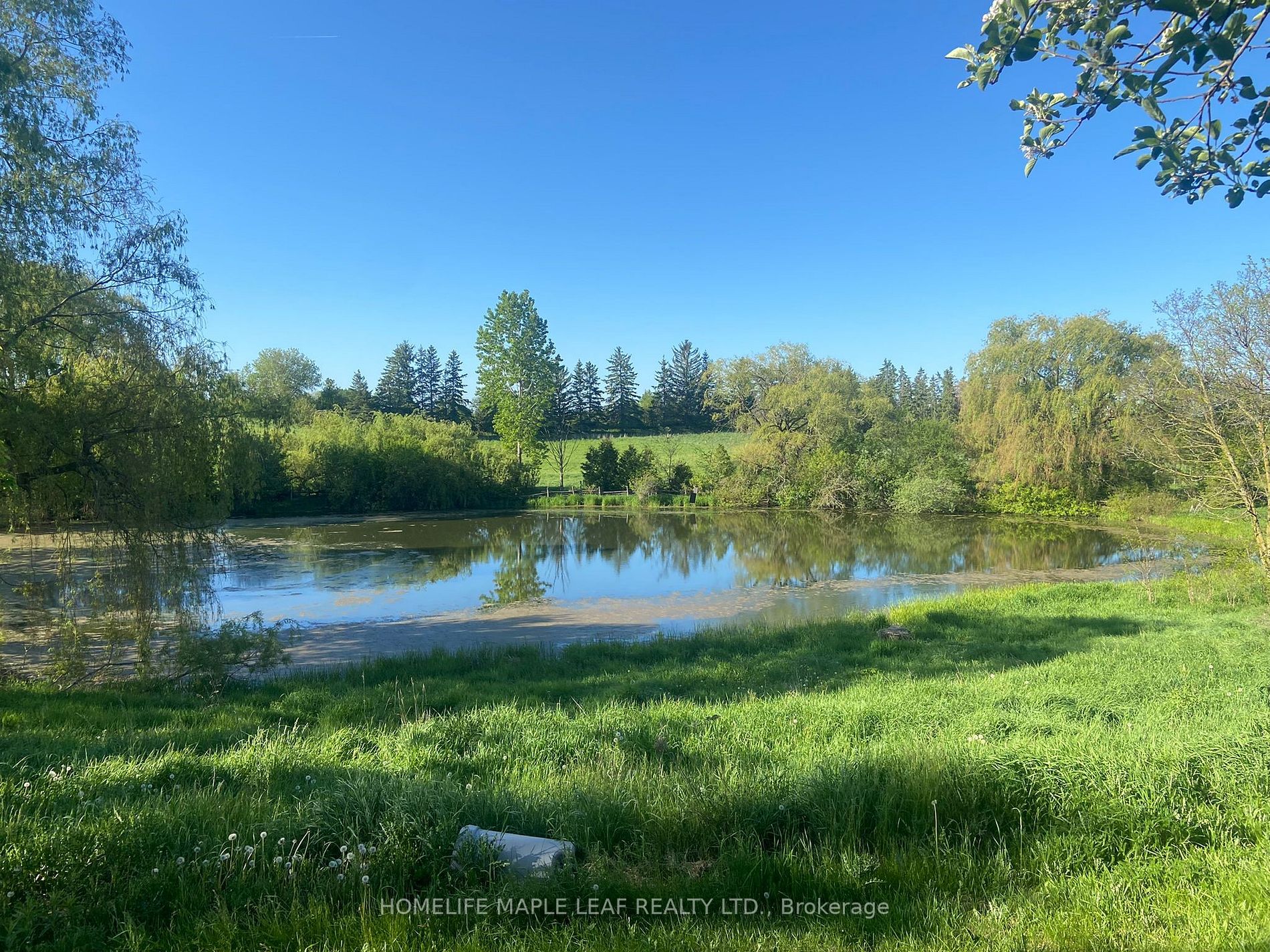 Listing N6045672 - Large Photo # 5