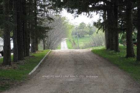 Listing N6045672 - Large Photo # 6