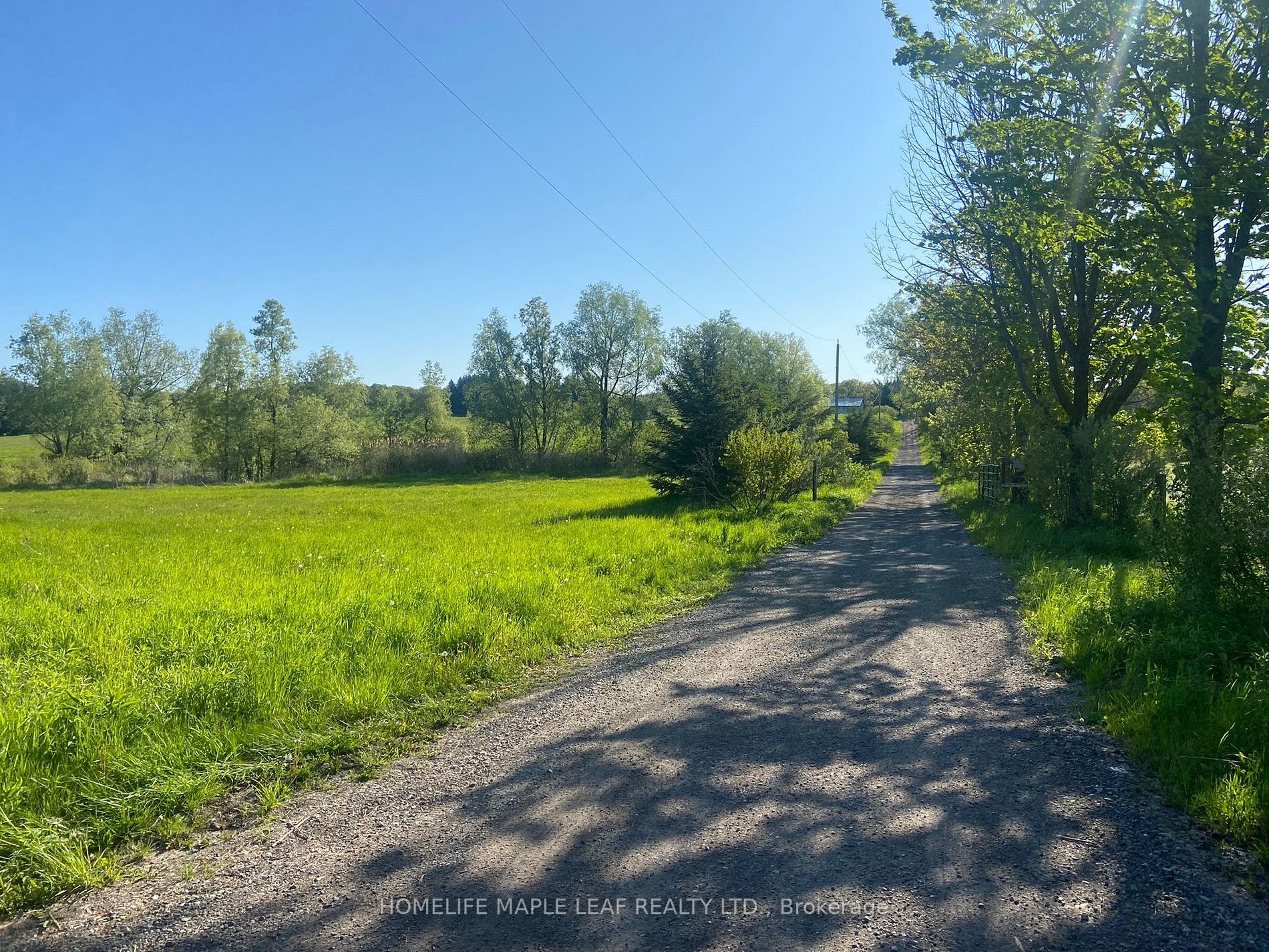 Listing N6045672 - Large Photo # 31