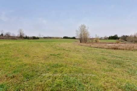 Listing N6045672 - Large Photo # 10