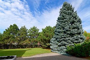 Listing N6048912 - Large Photo # 33