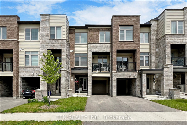 238 Vivant St, Newmarket