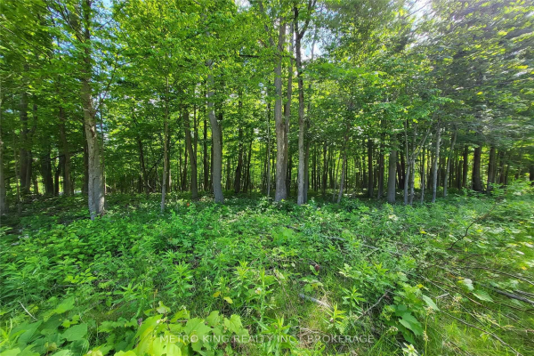 5977 Ninth Line, Whitchurch-Stouffville