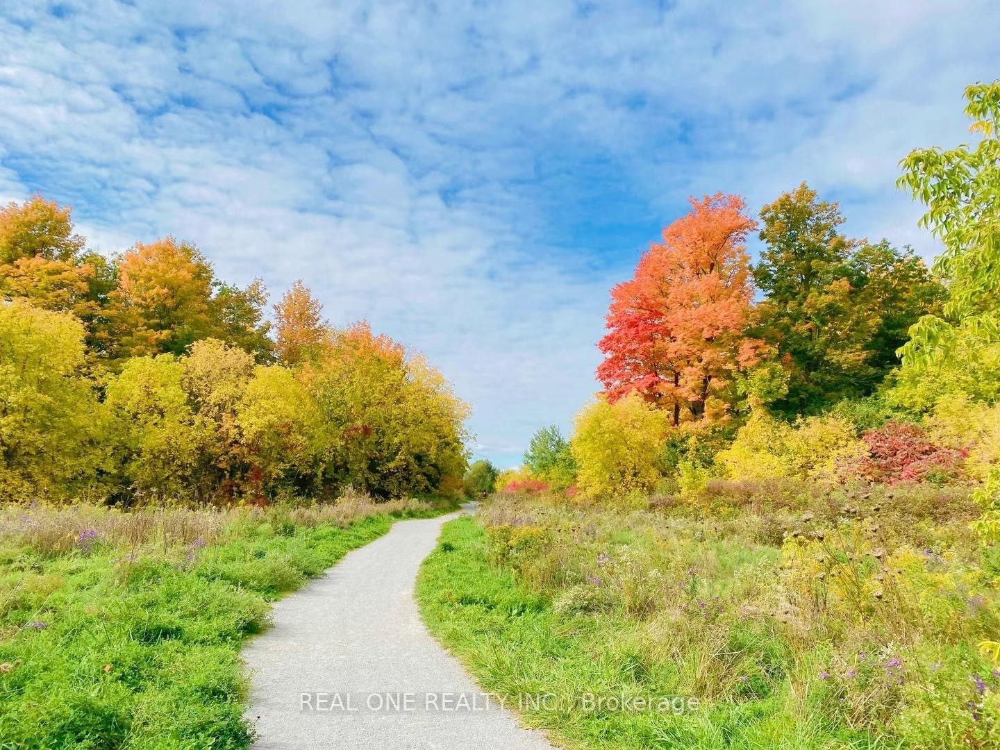 Listing N6054184 - Large Photo # 6