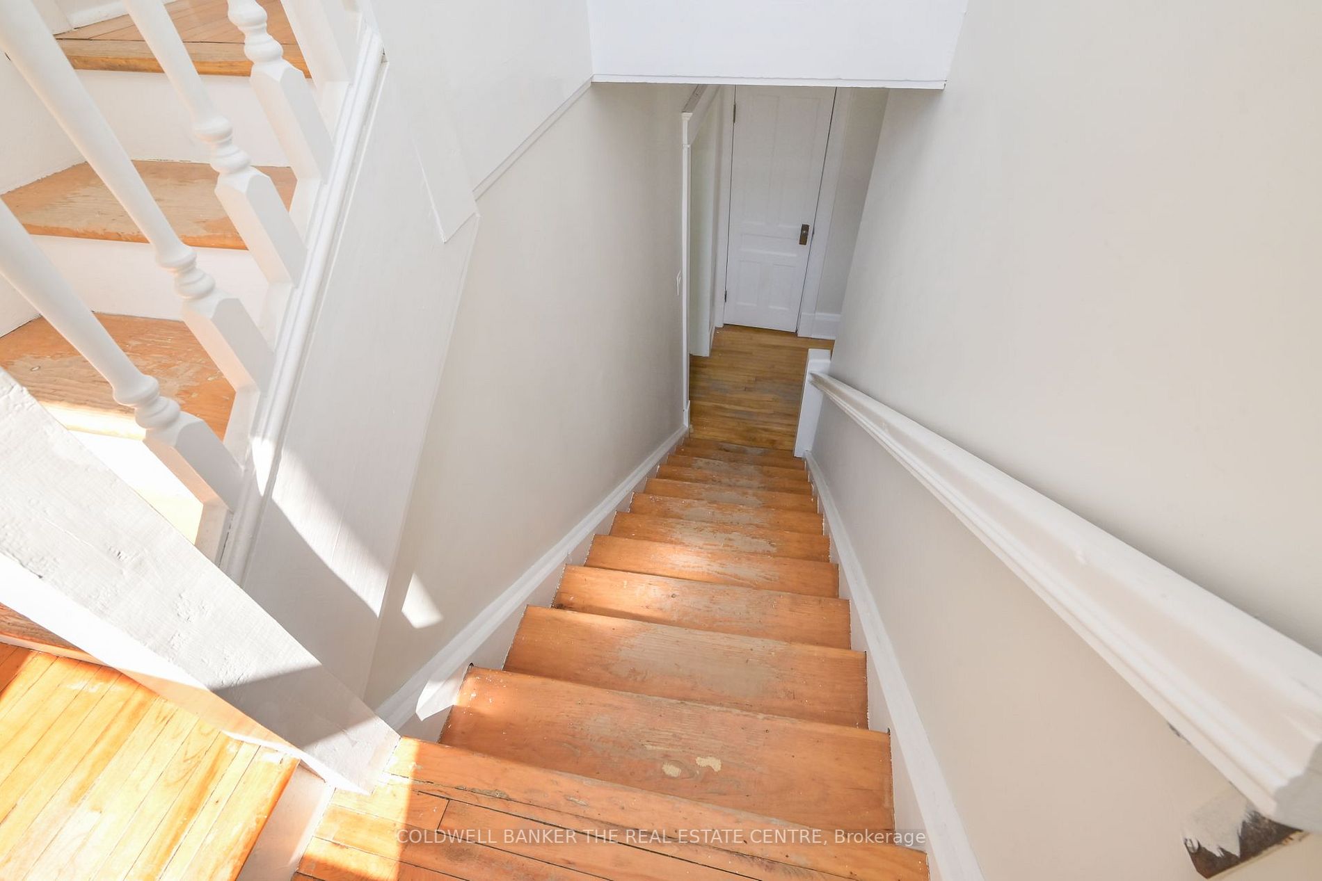 7 George St