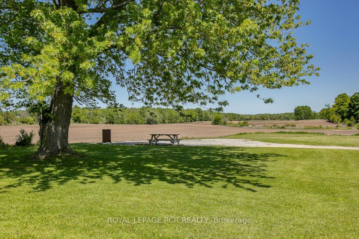 Listing N6064636 - Large Photo # 29