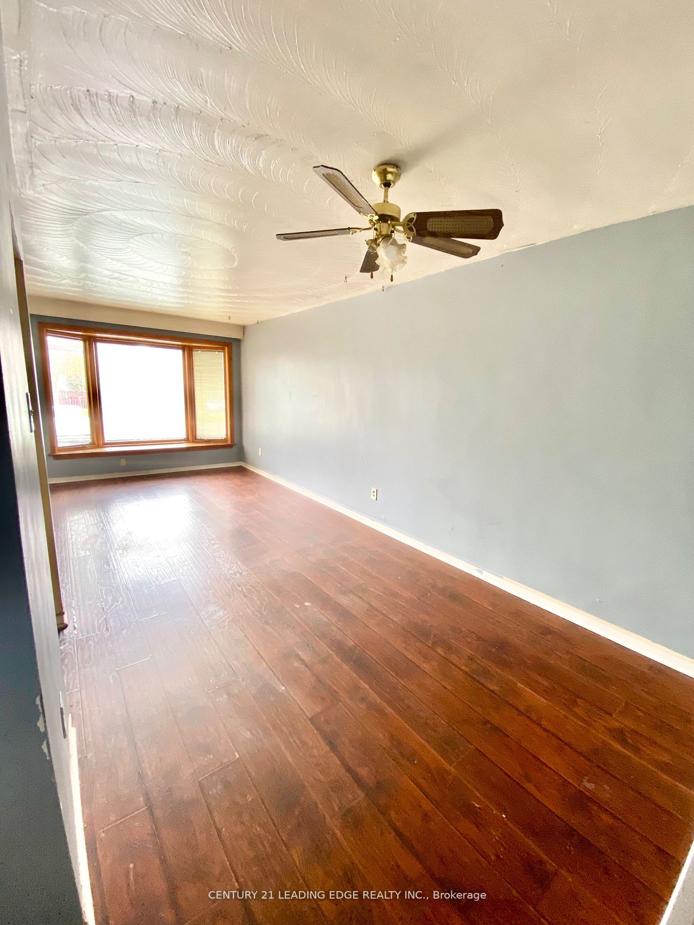 81 Walter Ave