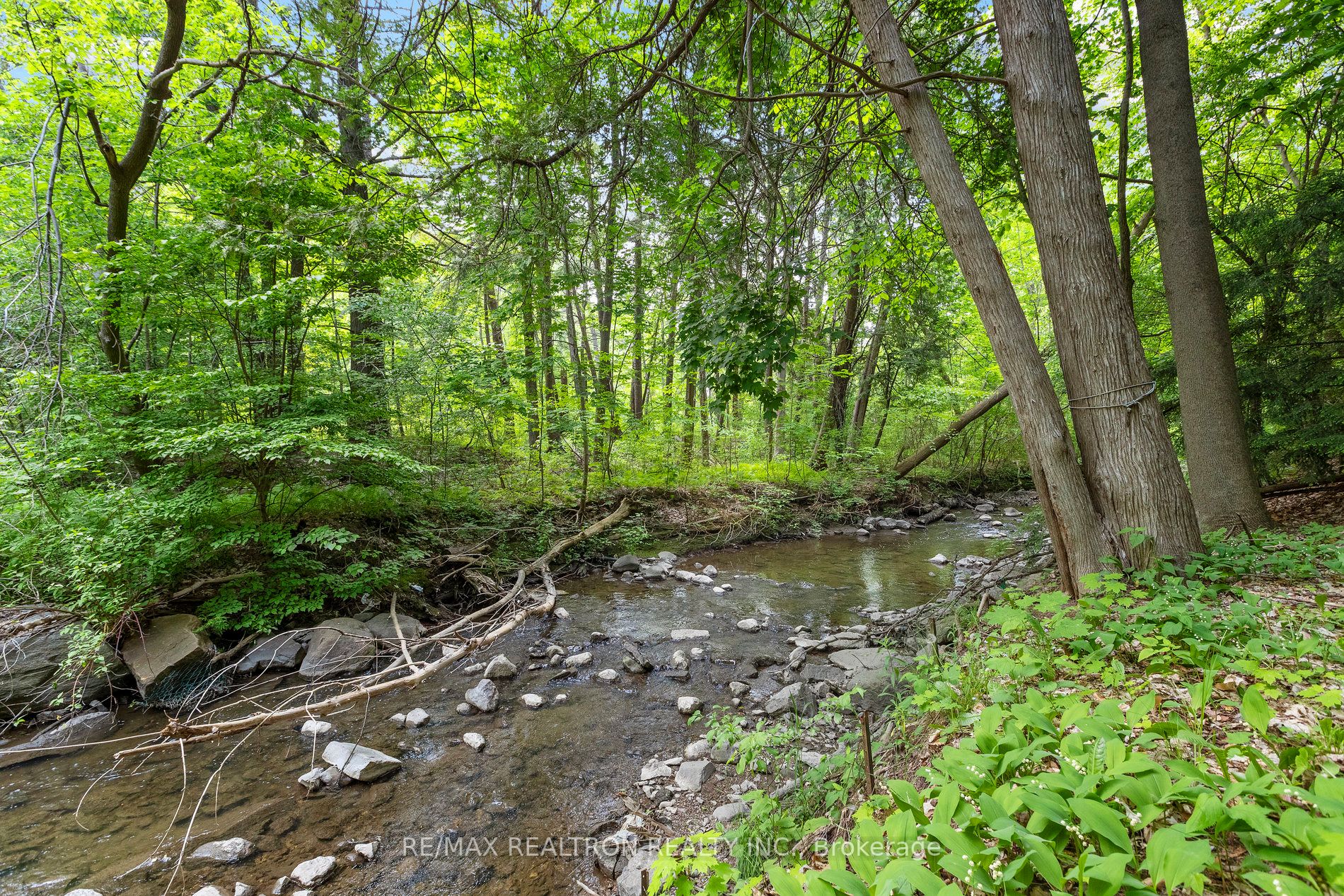 Listing N6082936 - Large Photo # 37