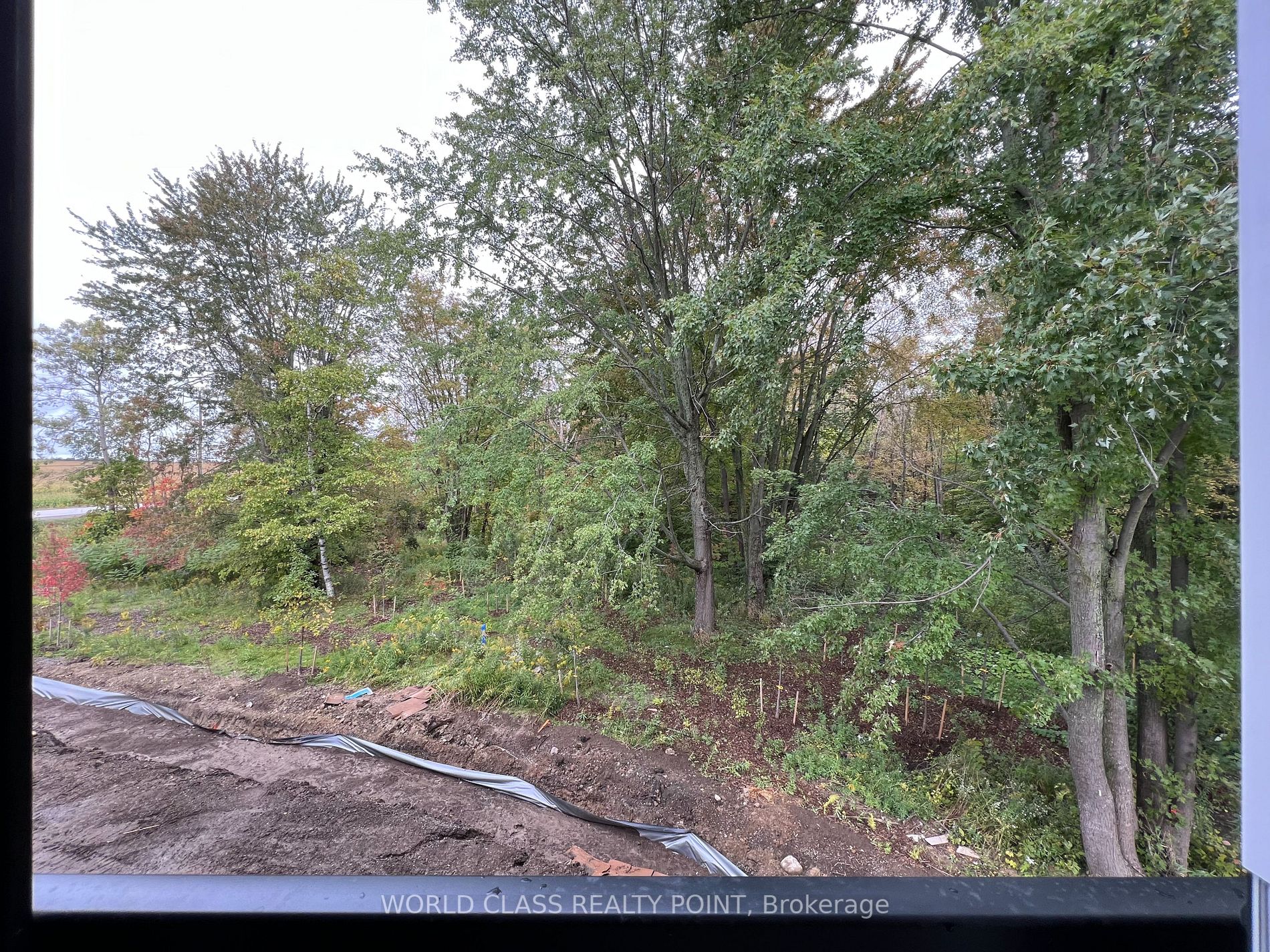 1482 Purchase Pl