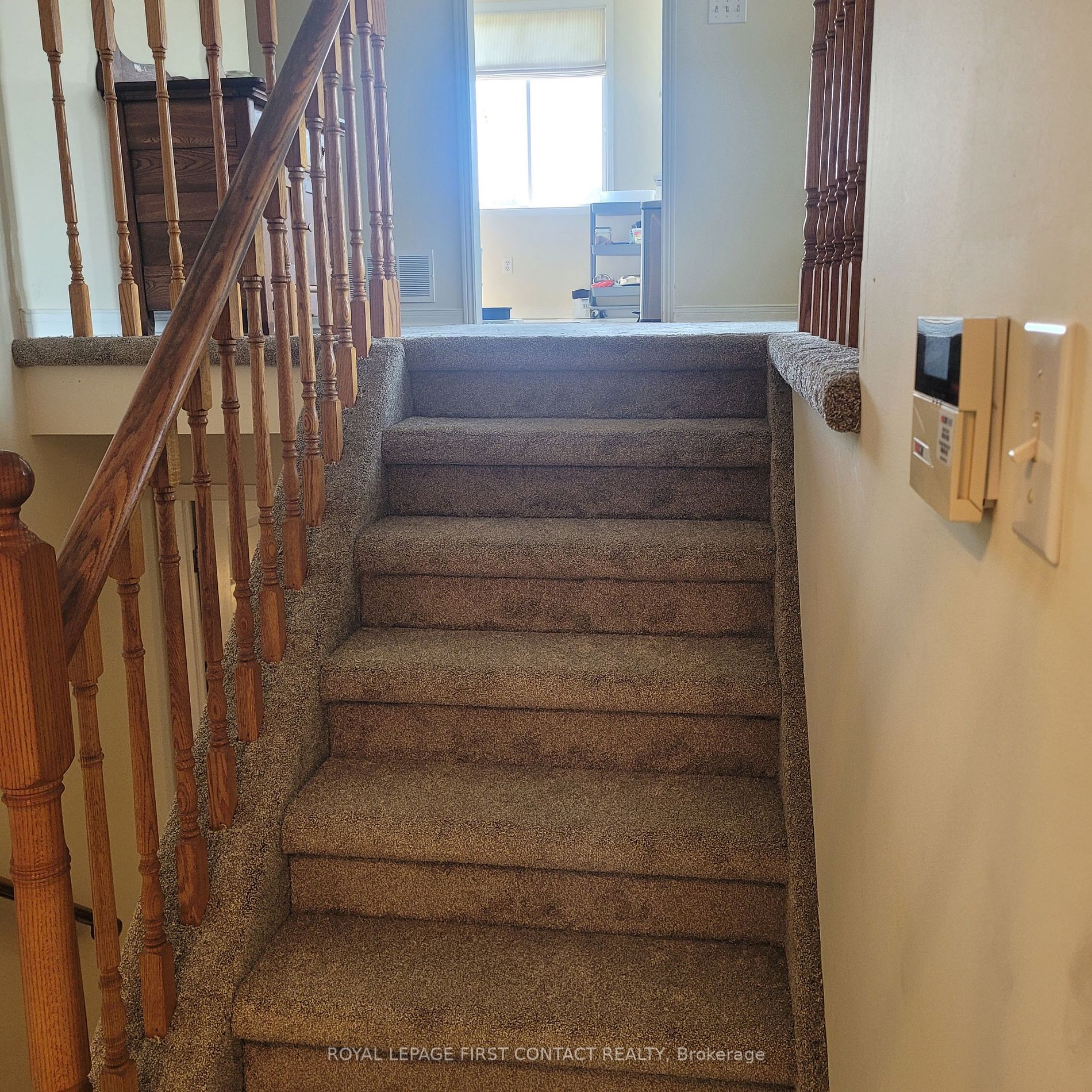 55 Marshall Cres